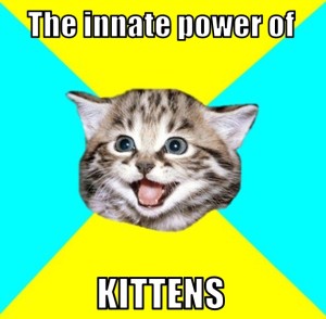 Power of Kittens